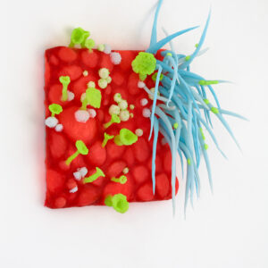 Barbara Koch • Lab Beasts #8 / 2020