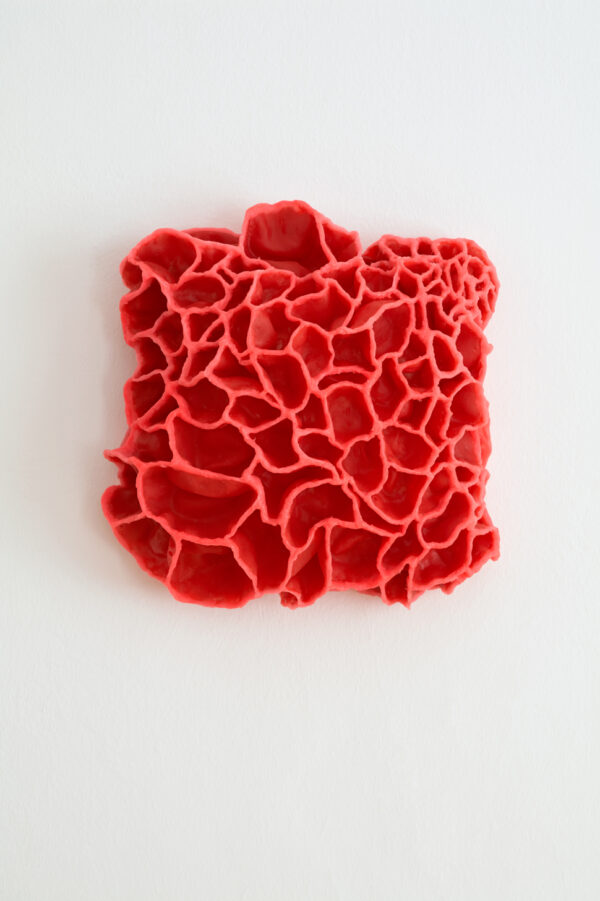 Barbara Koch • Lab Beasts #1 / 2017