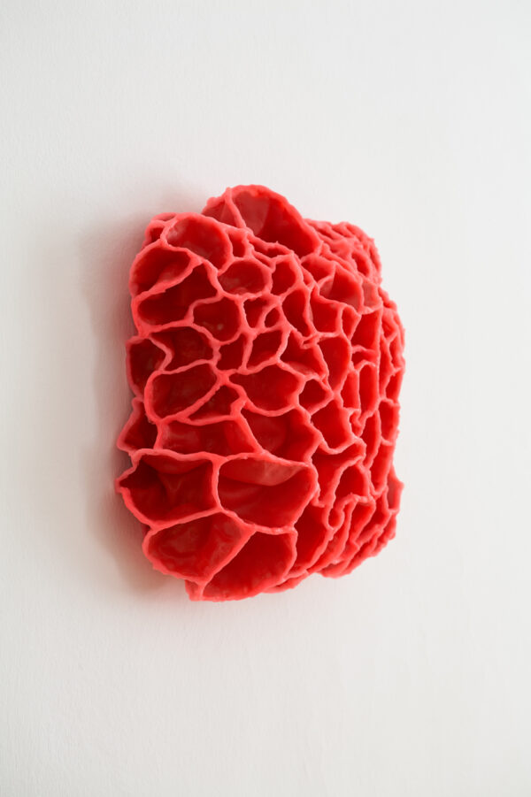 Barbara Koch • Lab Beasts #1 / 2017