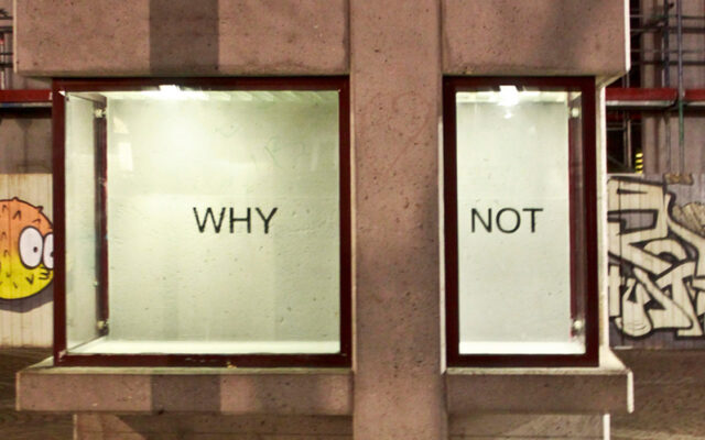 Daniela Risch • Why Not • 2019