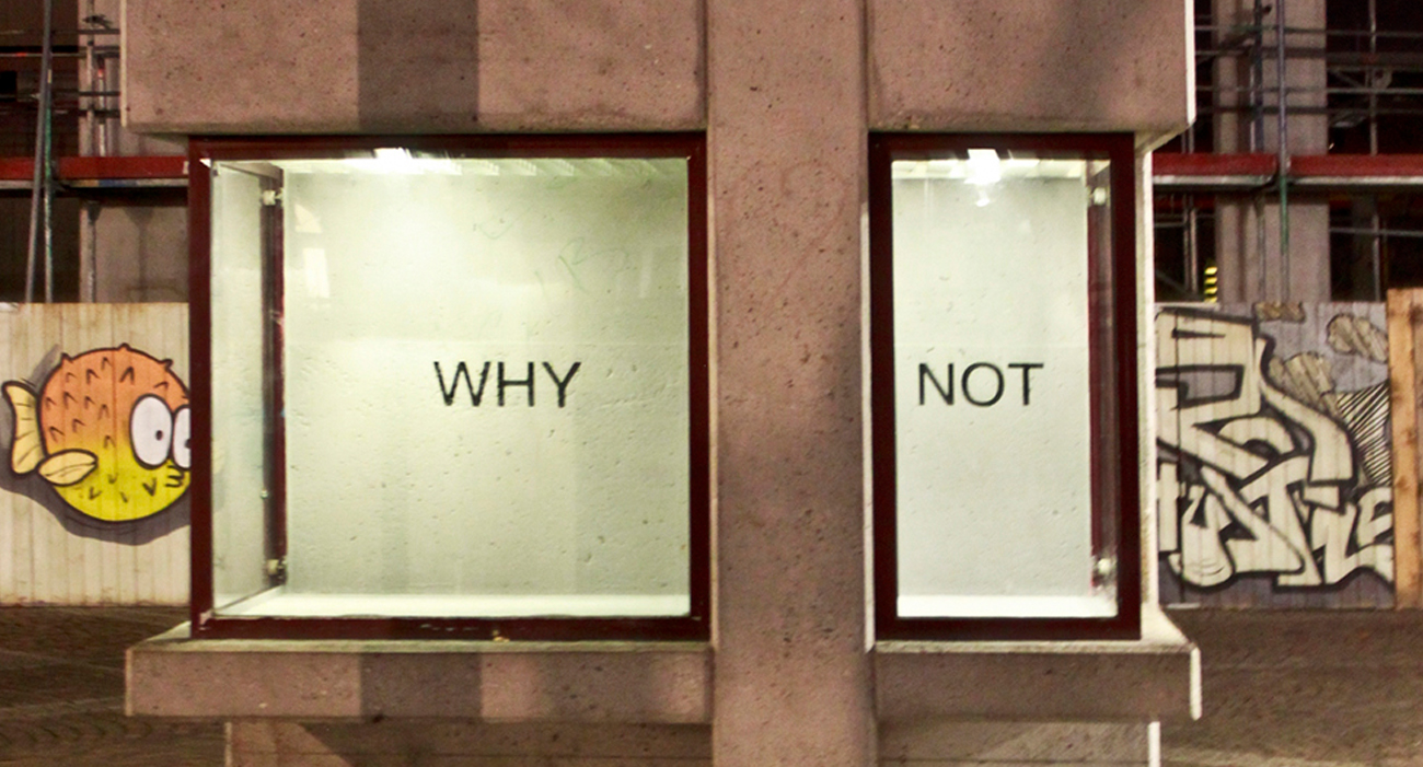 Daniela Risch • Why Not • 2019