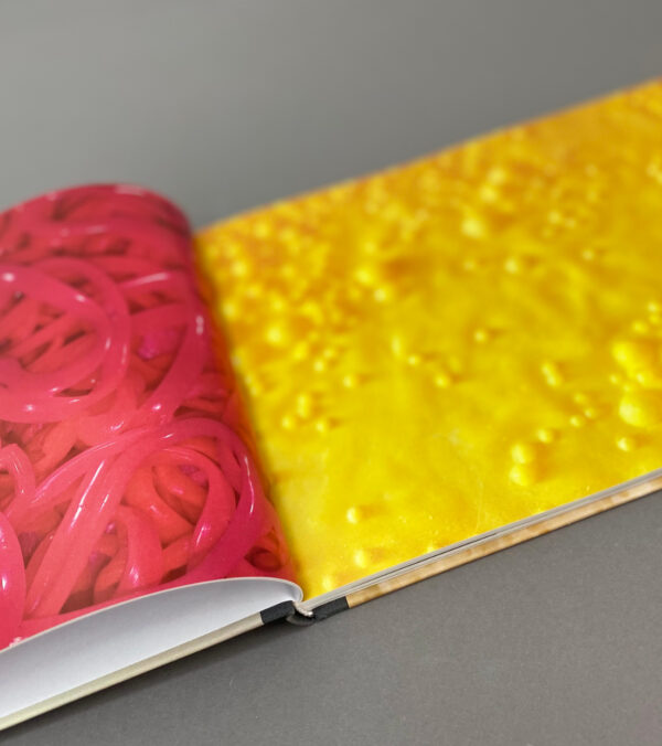 Barbara Koch • Katalog