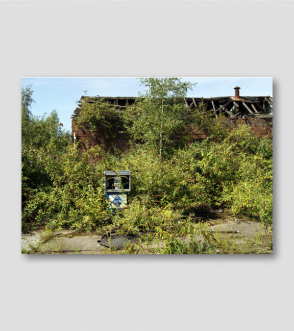 Wolfgang van Triel • Collateral Damage