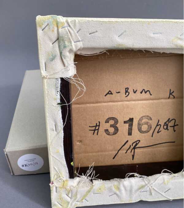 Dirk Pleyer • Album K316