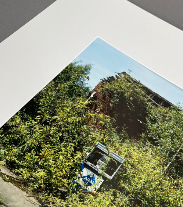 Wolfgang van Triel • Collateral Damage