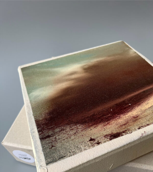 Dirk Pleyer • Album K676