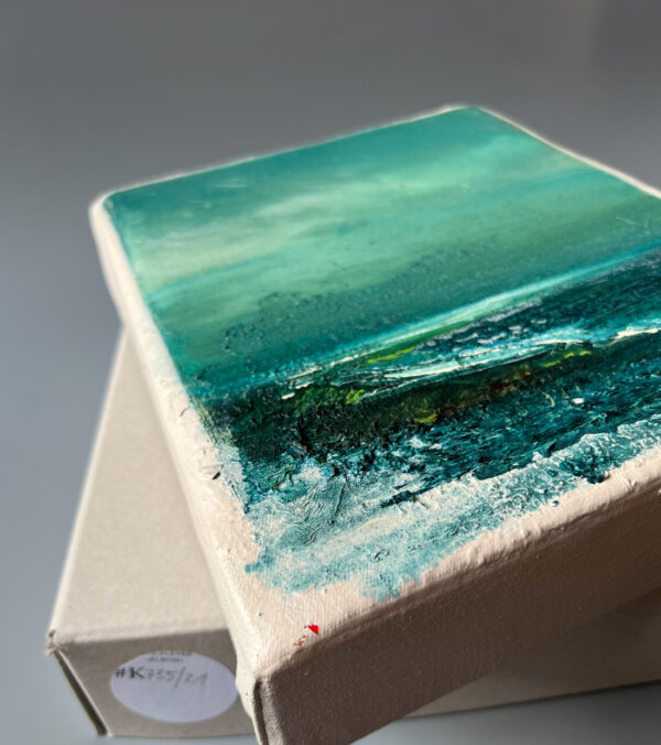 Dirk Pleyer • Album K735