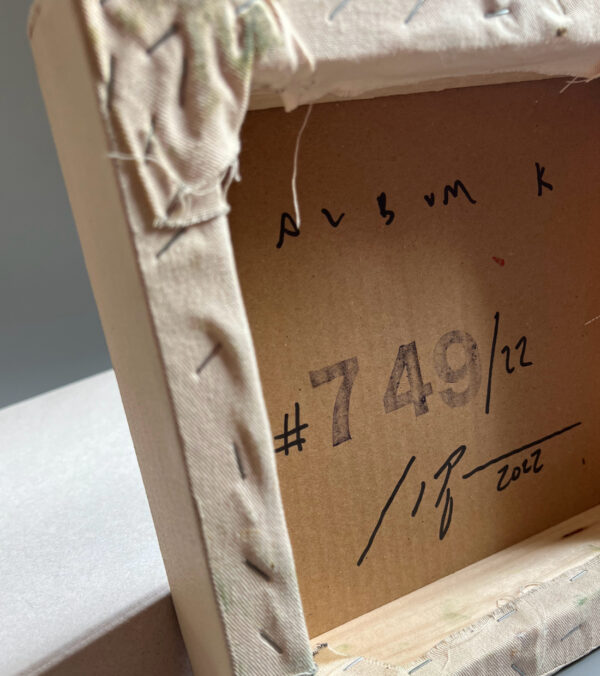 Dirk Pleyer • Album K749