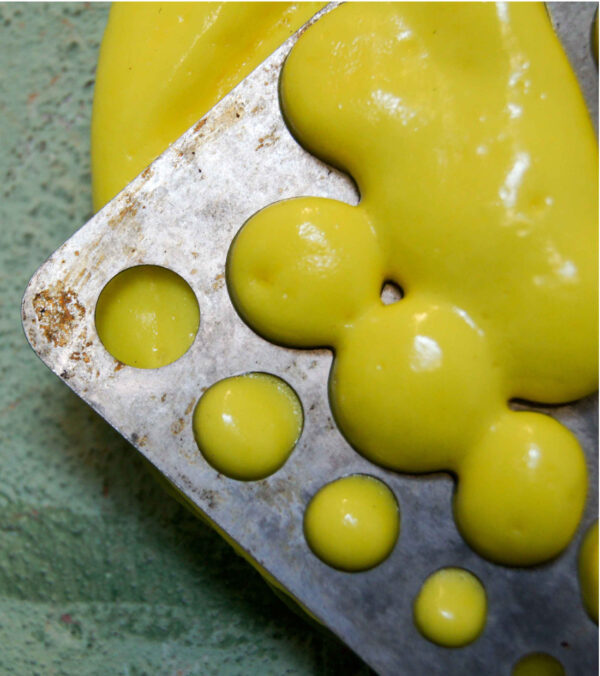 Kira Fröse • Flap